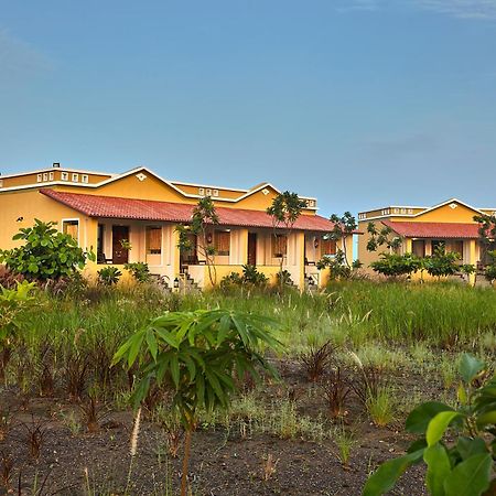 Blackbuck Safari Lodge Velavadar Bavliari Kültér fotó
