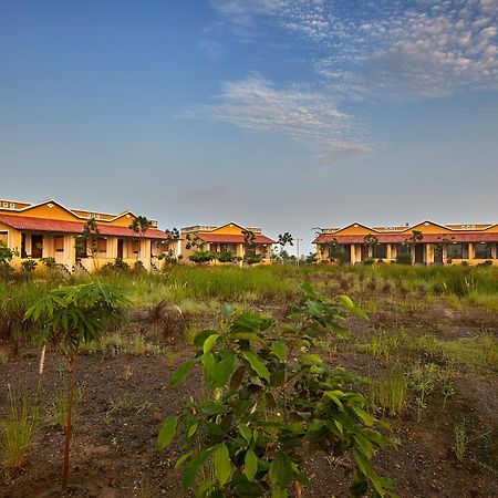 Blackbuck Safari Lodge Velavadar Bavliari Kültér fotó