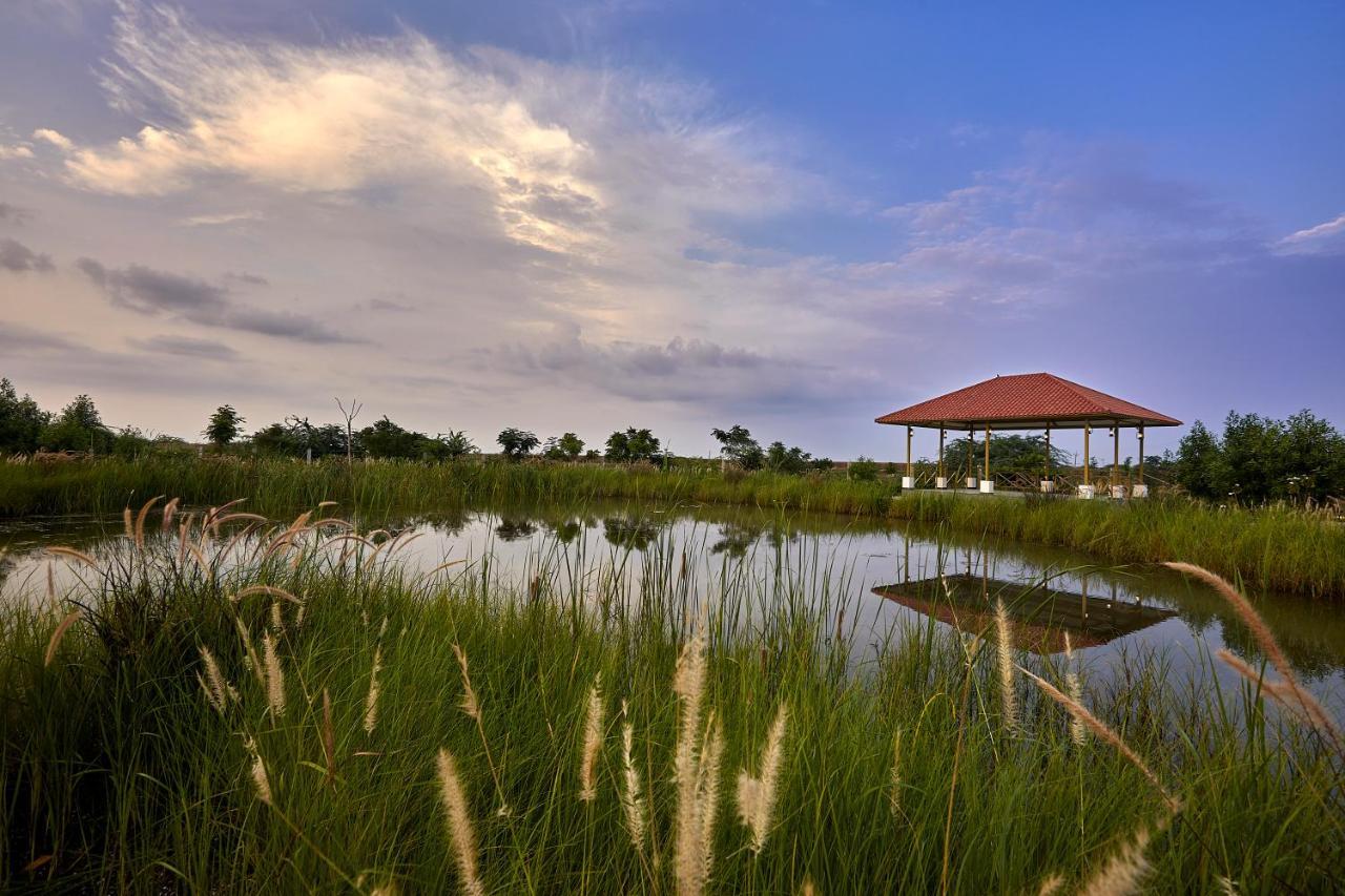 Blackbuck Safari Lodge Velavadar Bavliari Kültér fotó
