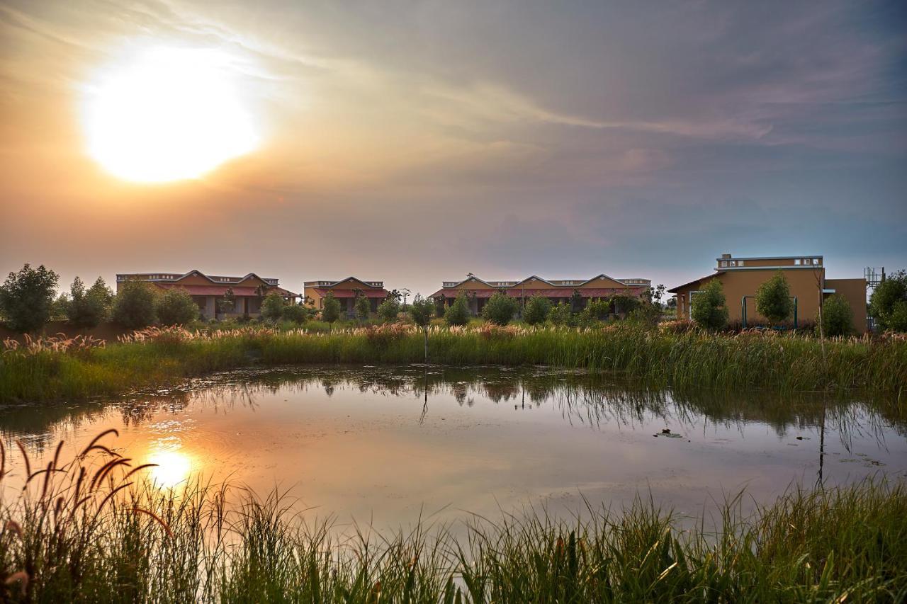 Blackbuck Safari Lodge Velavadar Bavliari Kültér fotó