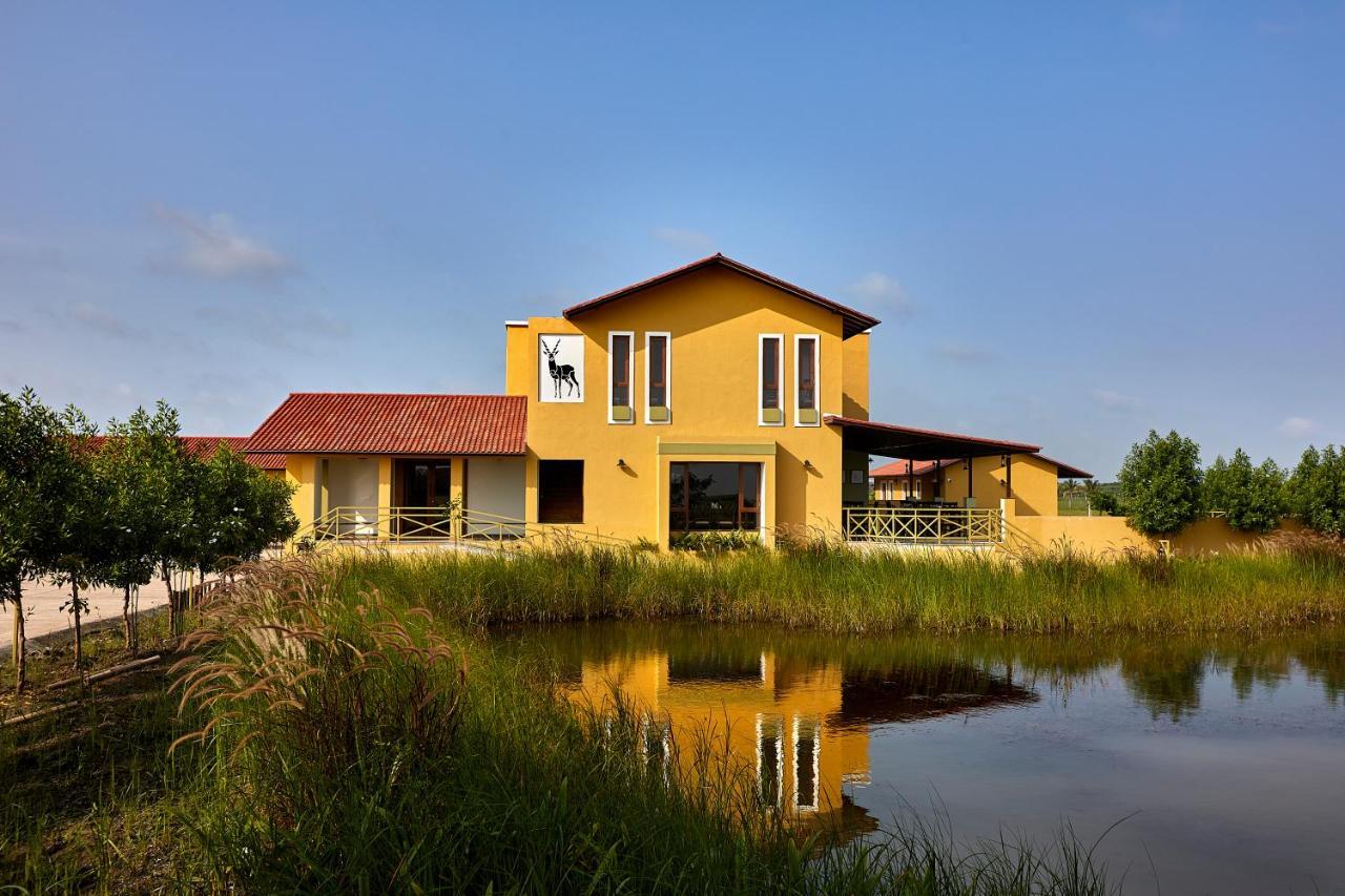 Blackbuck Safari Lodge Velavadar Bavliari Kültér fotó