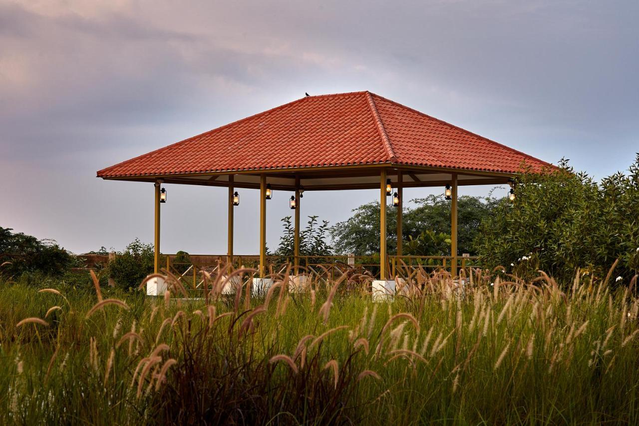 Blackbuck Safari Lodge Velavadar Bavliari Kültér fotó