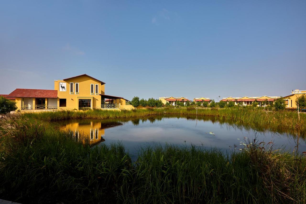 Blackbuck Safari Lodge Velavadar Bavliari Kültér fotó