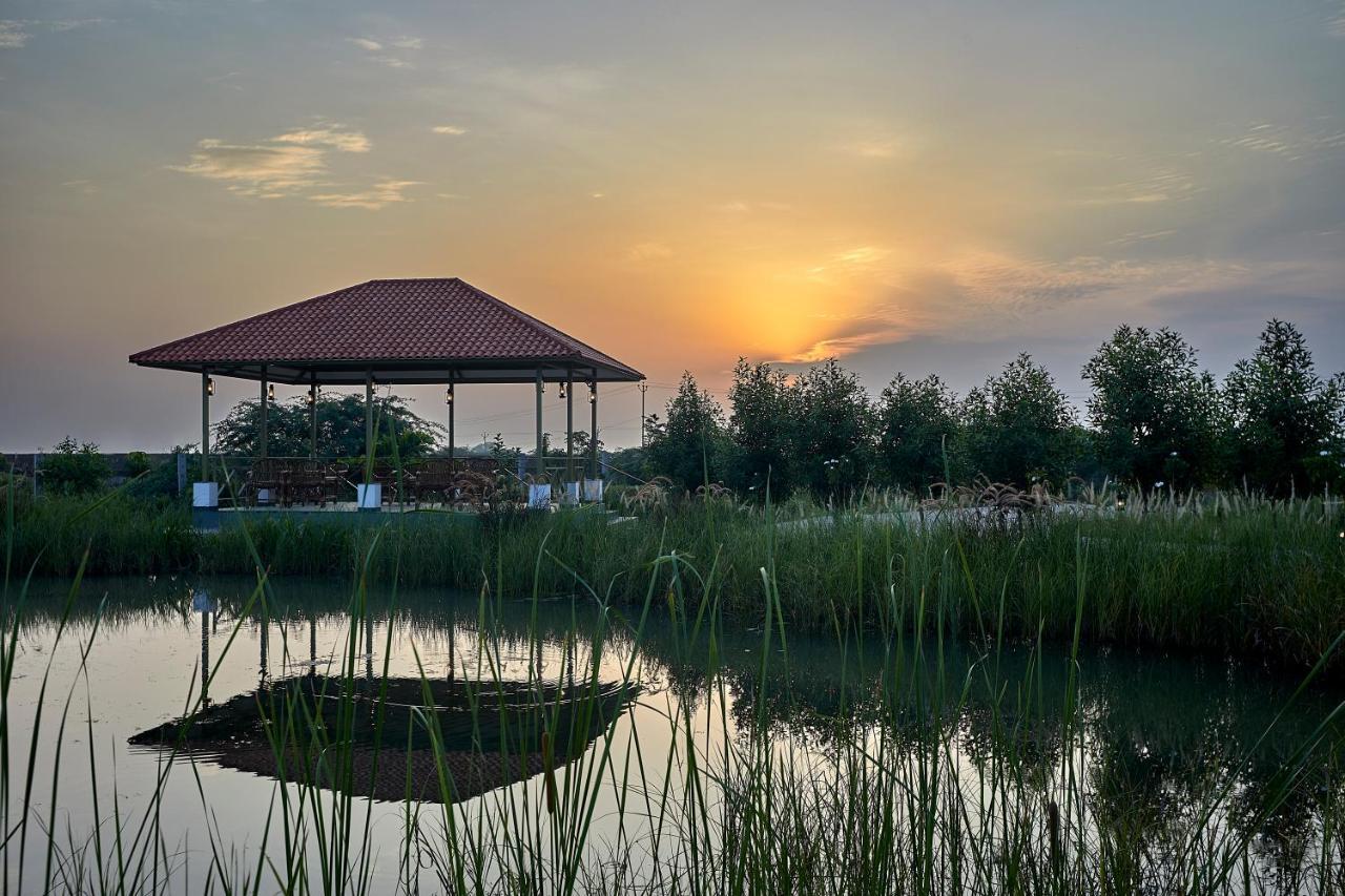 Blackbuck Safari Lodge Velavadar Bavliari Kültér fotó
