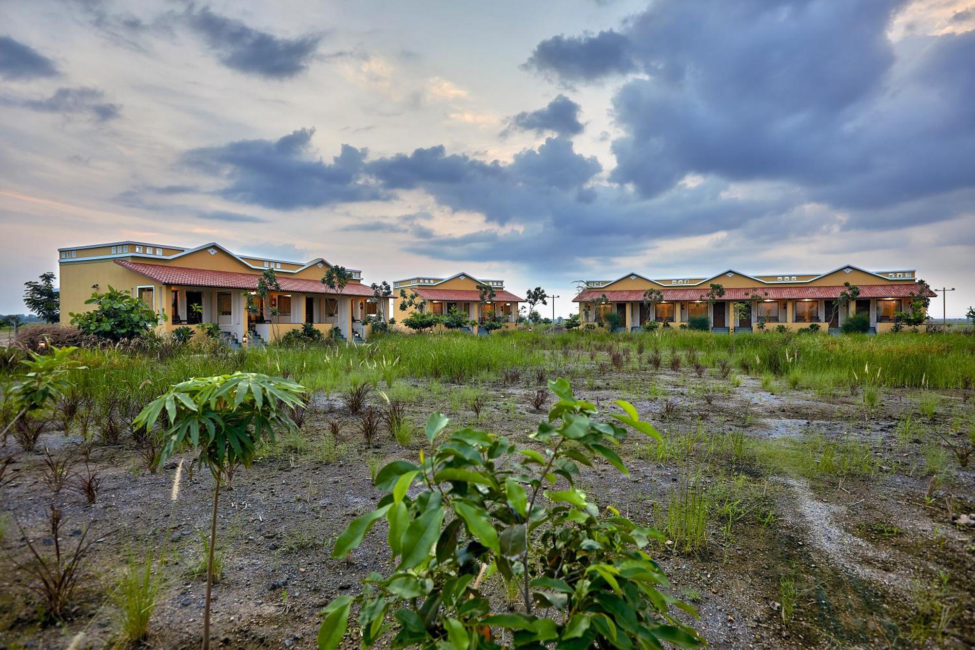 Blackbuck Safari Lodge Velavadar Bavliari Kültér fotó