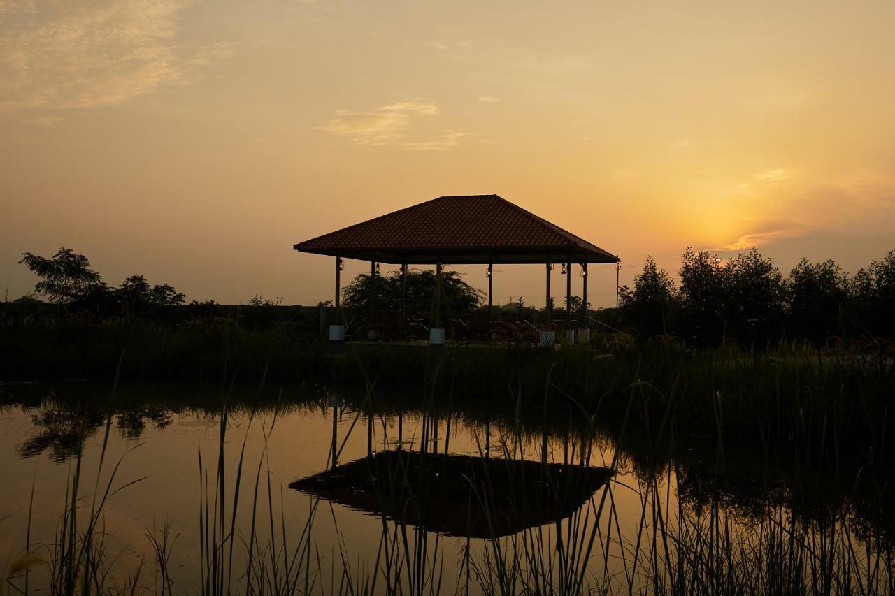 Blackbuck Safari Lodge Velavadar Bavliari Kültér fotó
