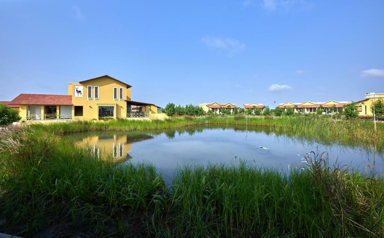 Blackbuck Safari Lodge Velavadar Bavliari Kültér fotó